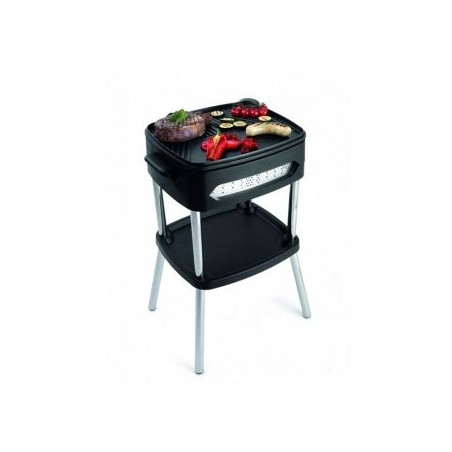 BBQ3256  FRITEL