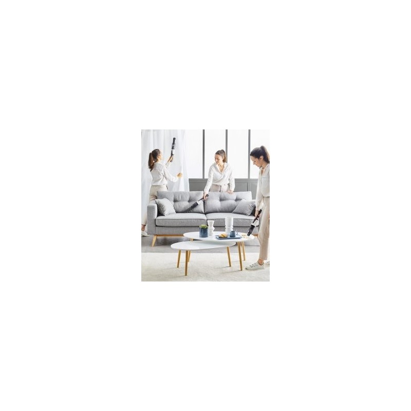 AC9736WO ROWENTA Aspirateurs