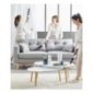 AC9736WO ROWENTA Aspirateurs