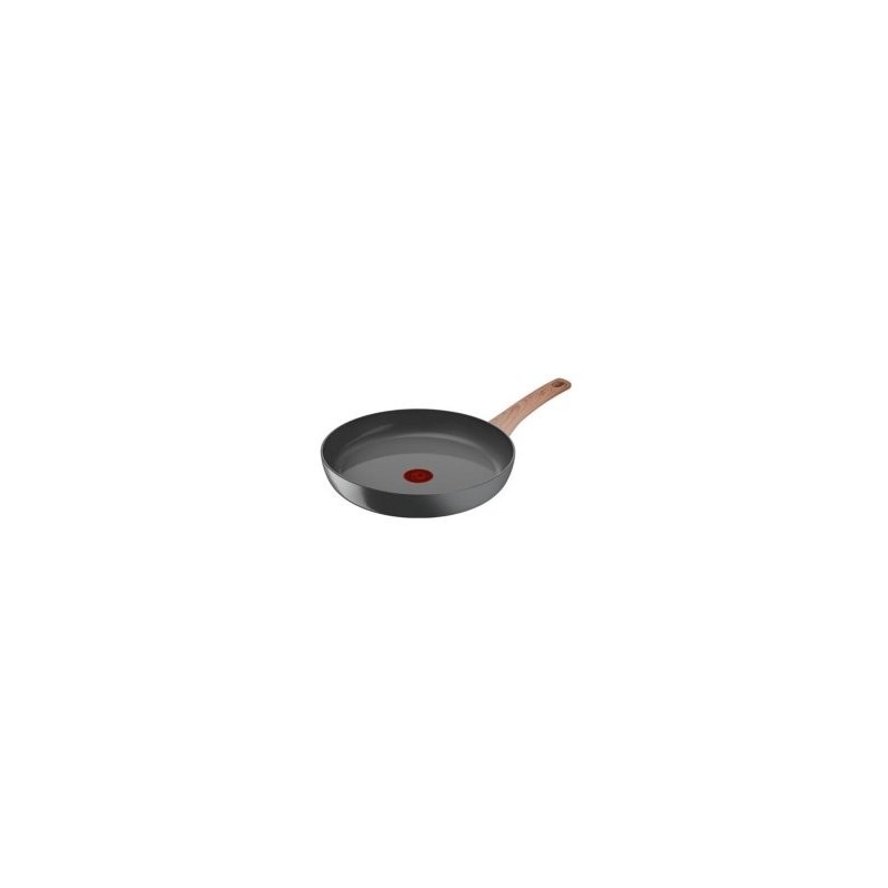 C4250713 TEFAL Poêles & utilitaires de cuisine