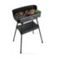 BBQ2246 FRITEL Appareils de cuisson